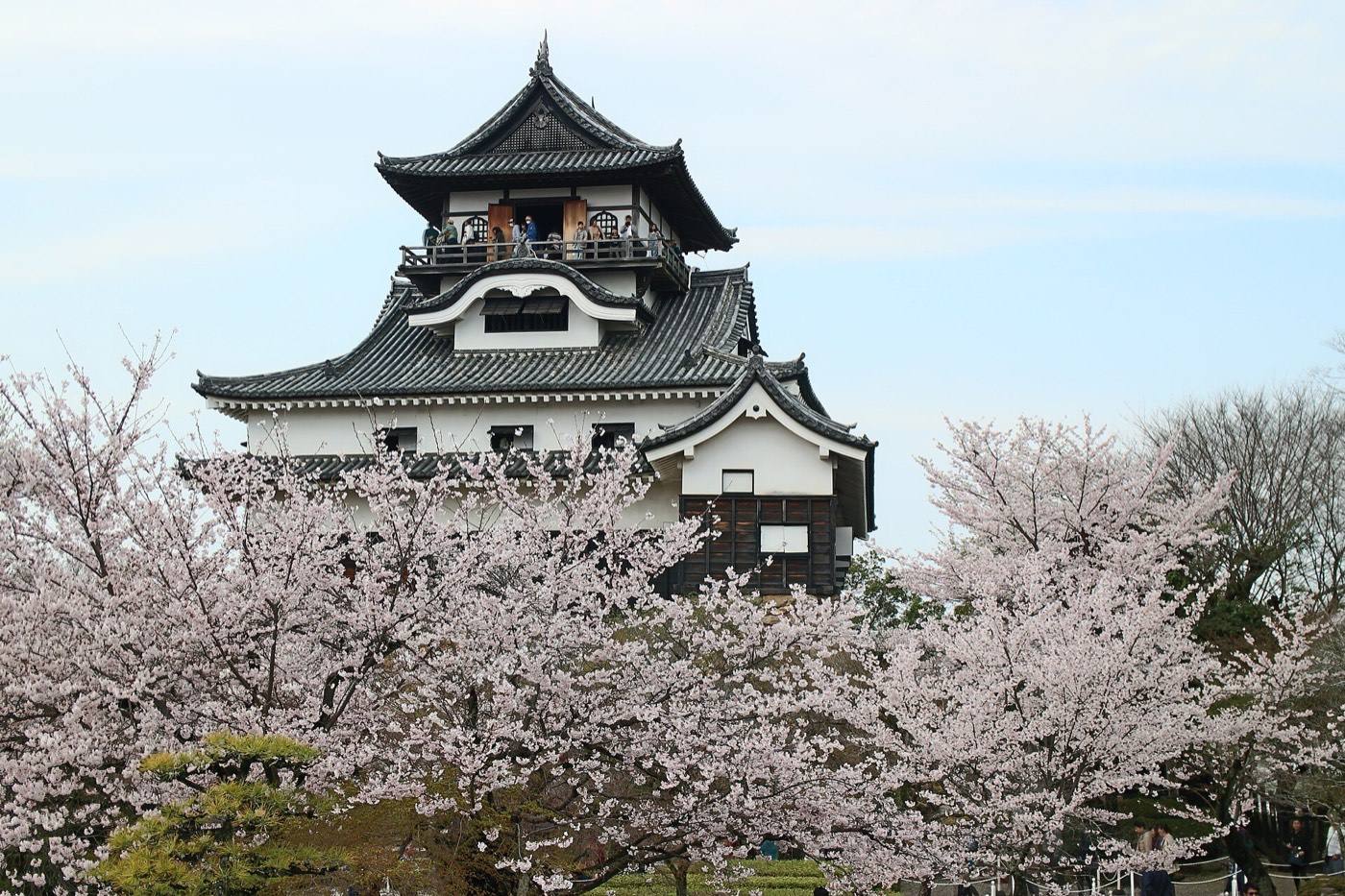 Inuyama Castle