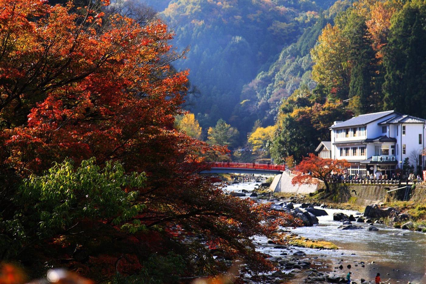 autumn maples and the Taigetsu bridge at Korankei