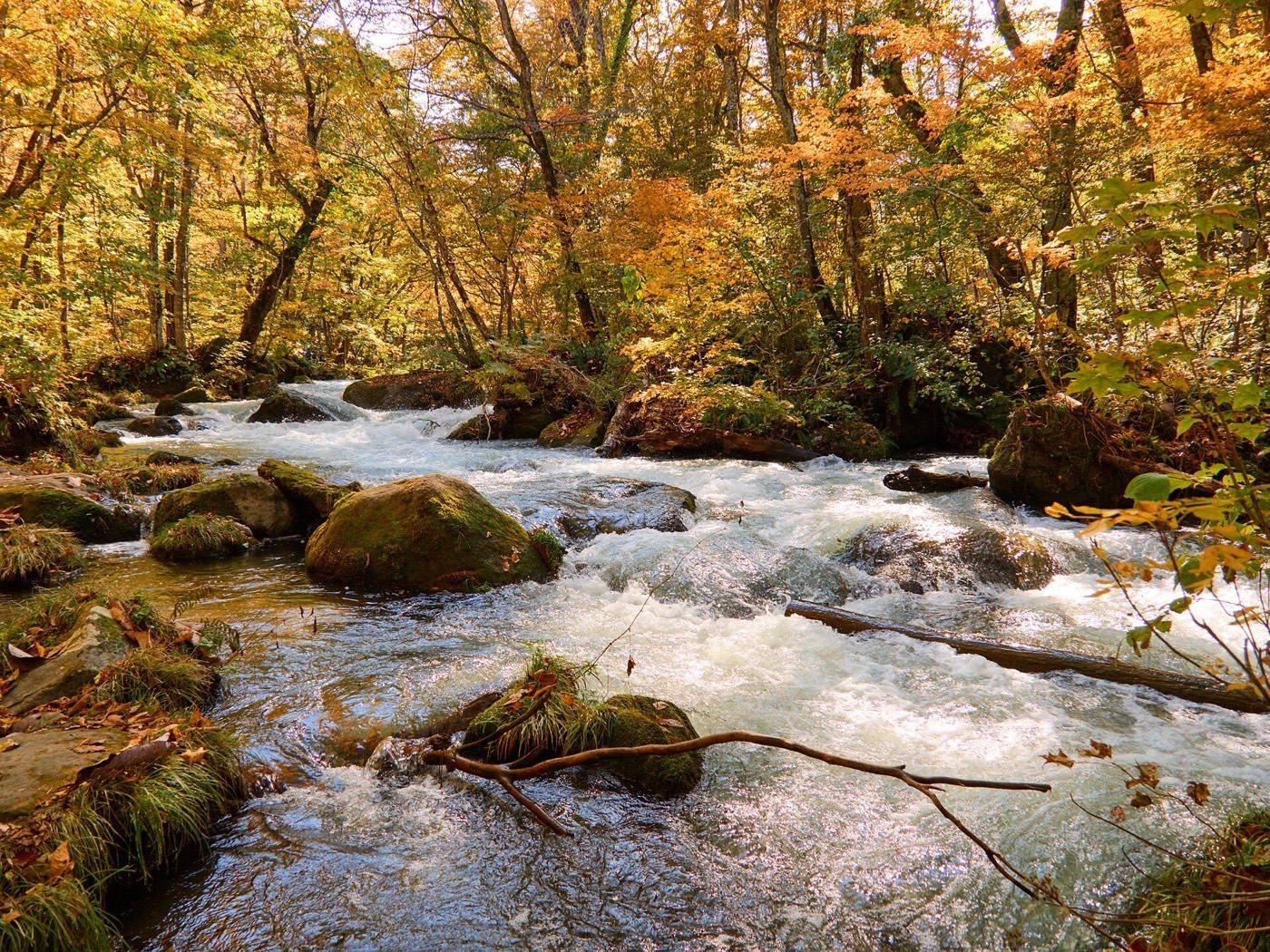 Oirase Gorge