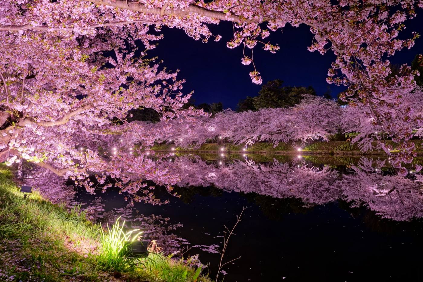 Hirosaki Castle