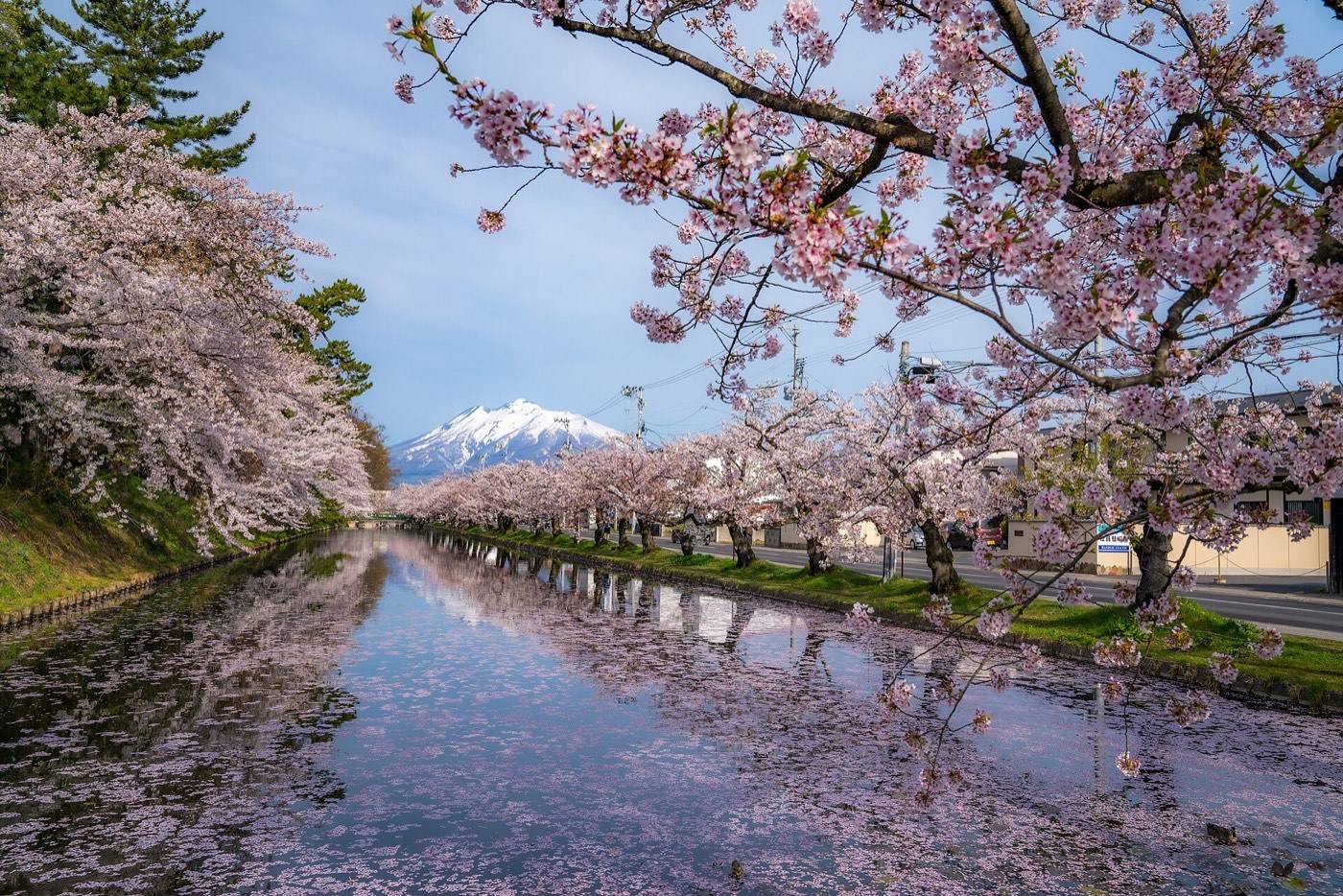 Hirosaki Castle