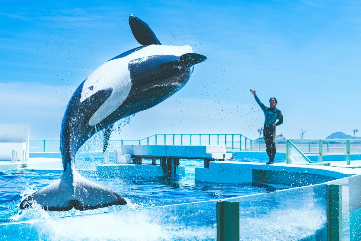 Kamogawa Sea World