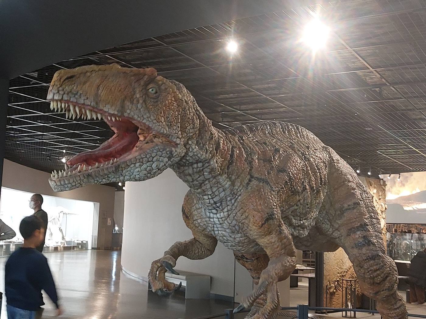 Dinosaur Museum
