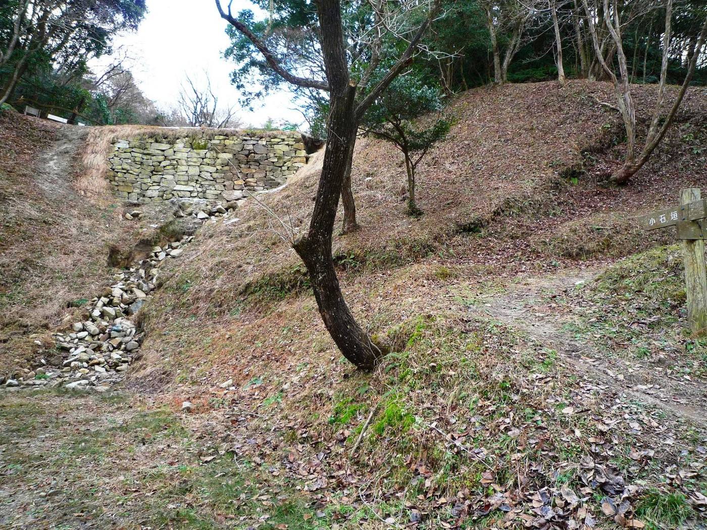 the stone walls of Fukuoka Castle