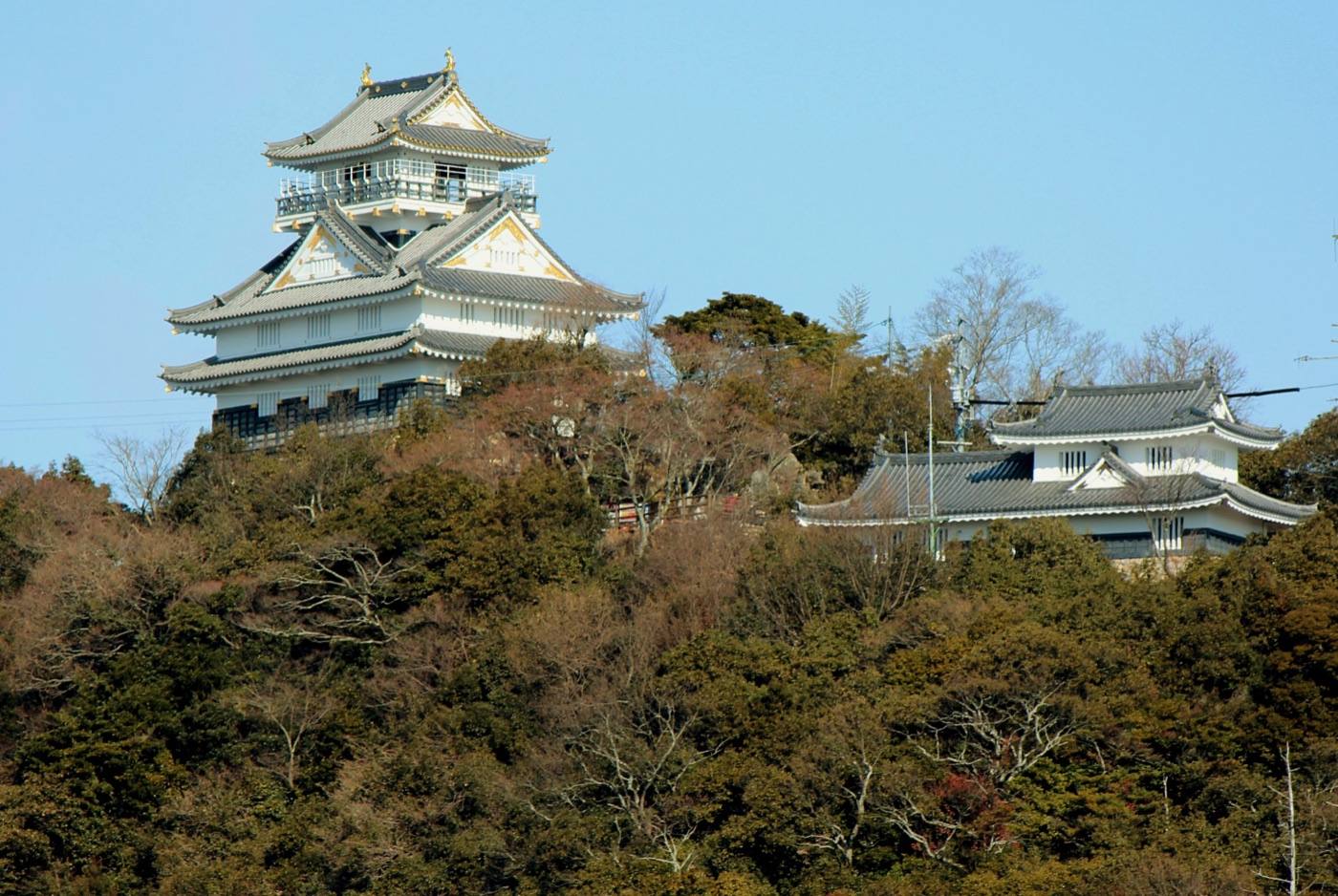 Gifu Castle on Mount Kinka