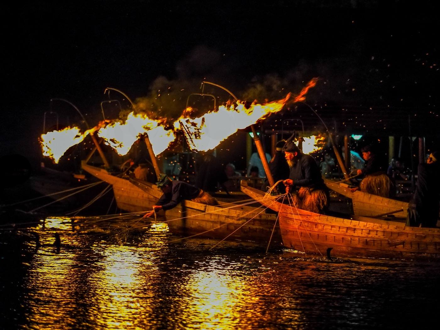 cormorant fishing on the Nagara river