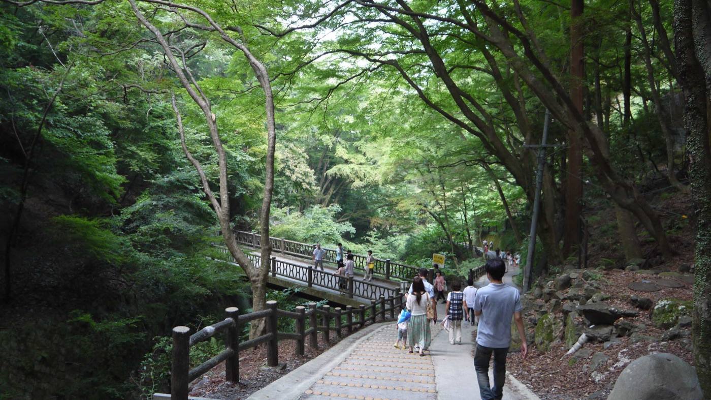 Yoro Falls in autumn
