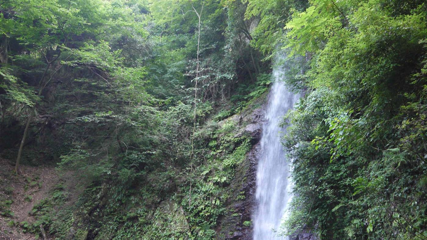 a waterfall in a green gorge