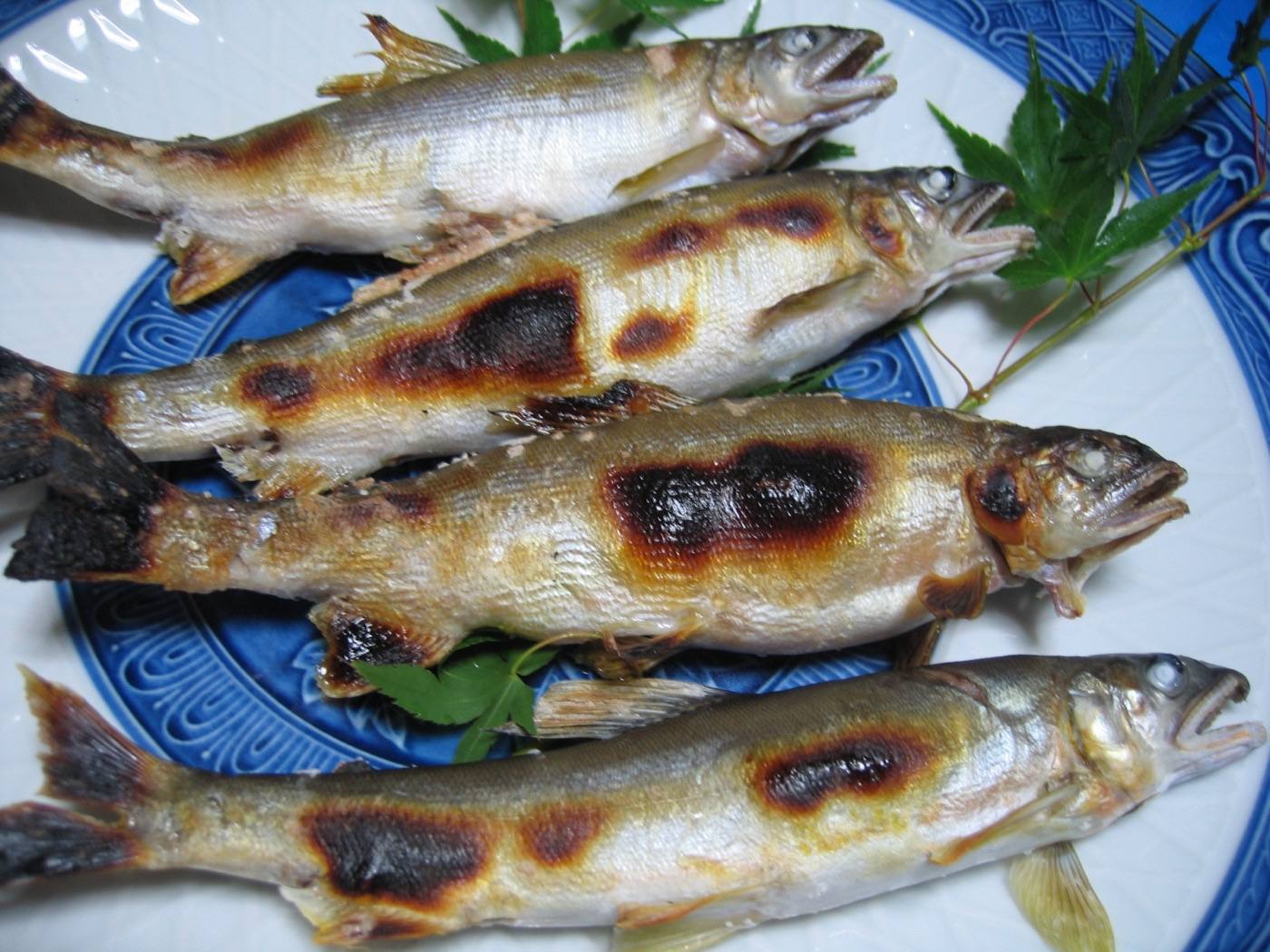 salt-grilled sweetfish