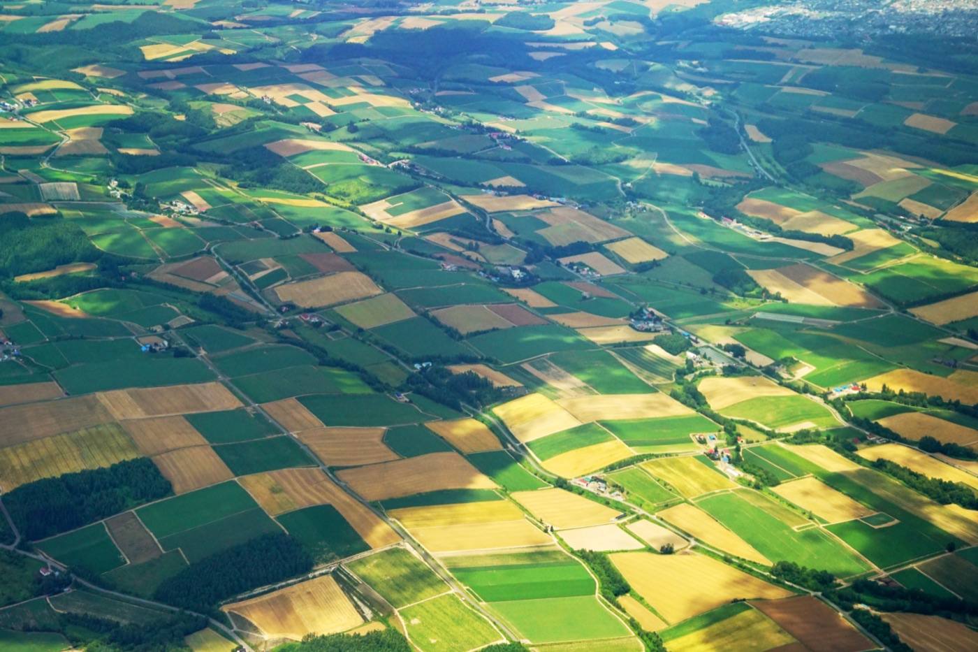 Furano and Biei