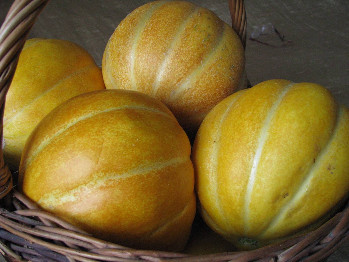 Ibaraki melons