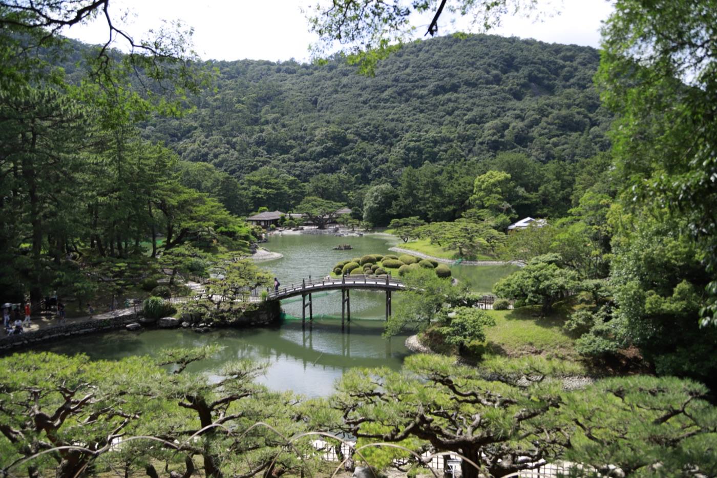 a quiet Japanese garden