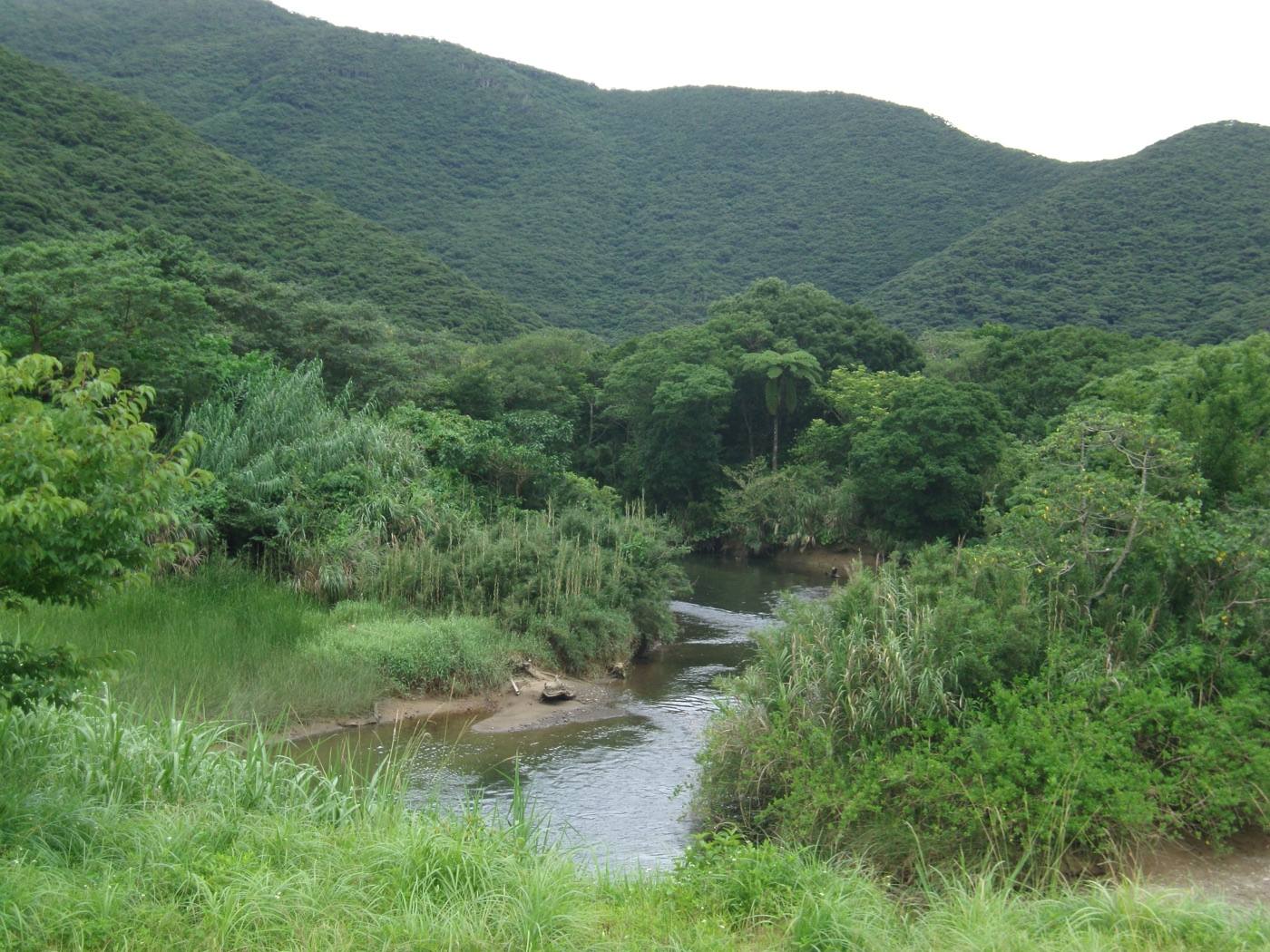 Amami Oshima