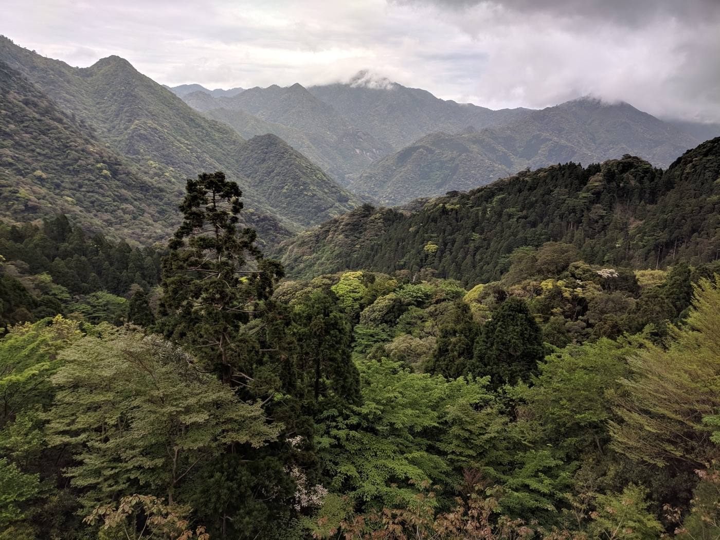 Yakushima