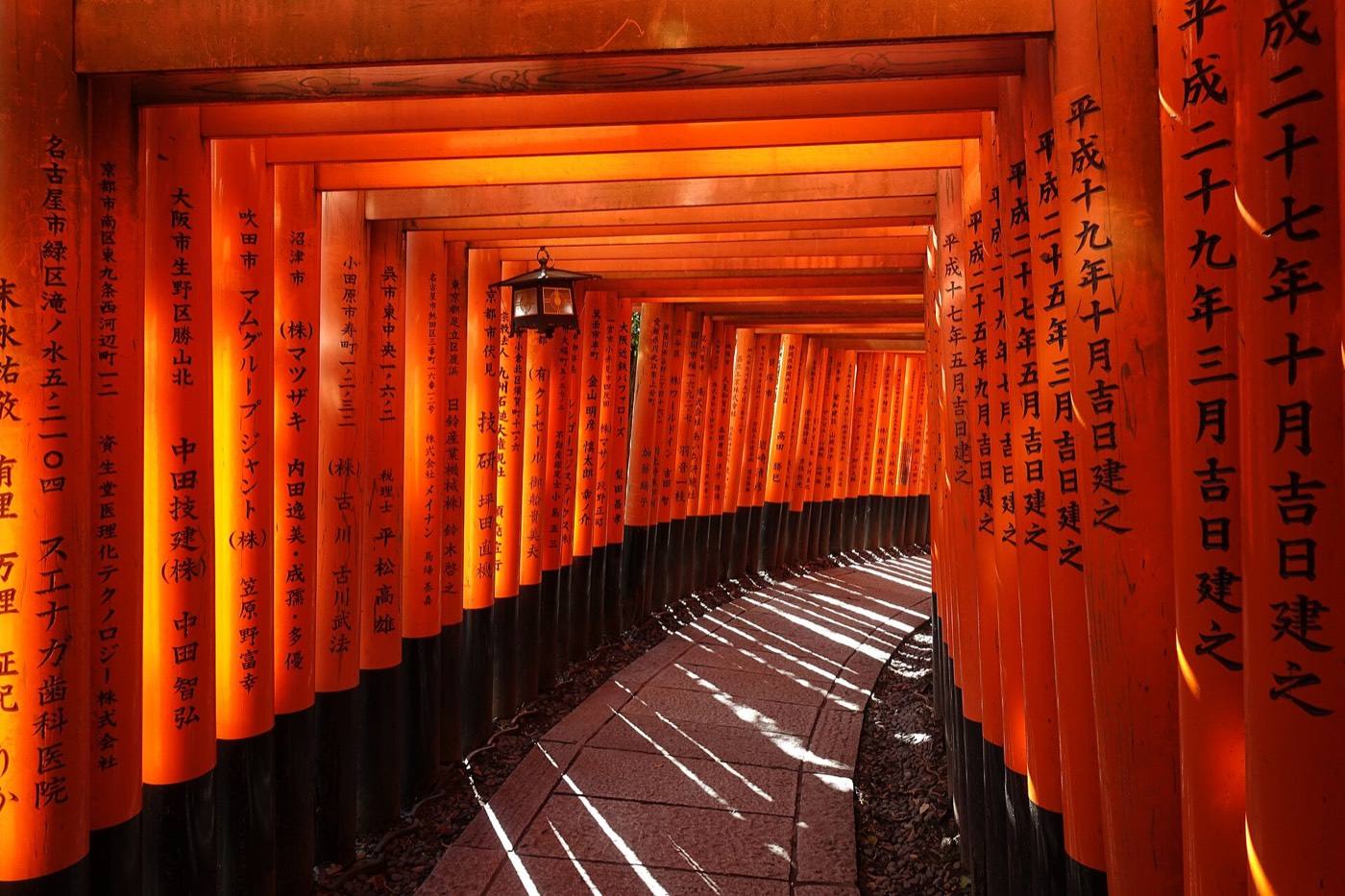 the red torii of Fushimi Inari
