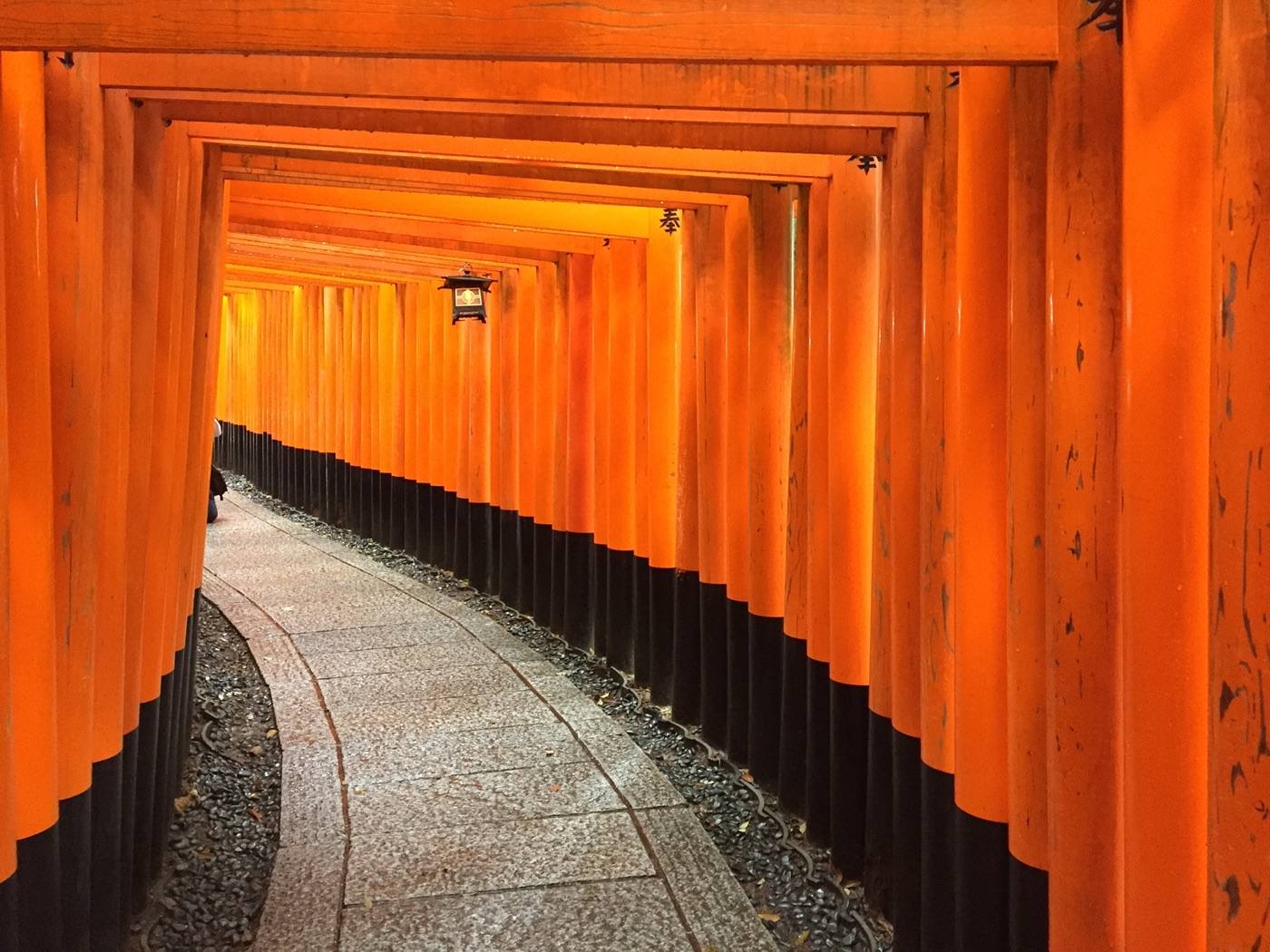 a tunnel of red torii gates