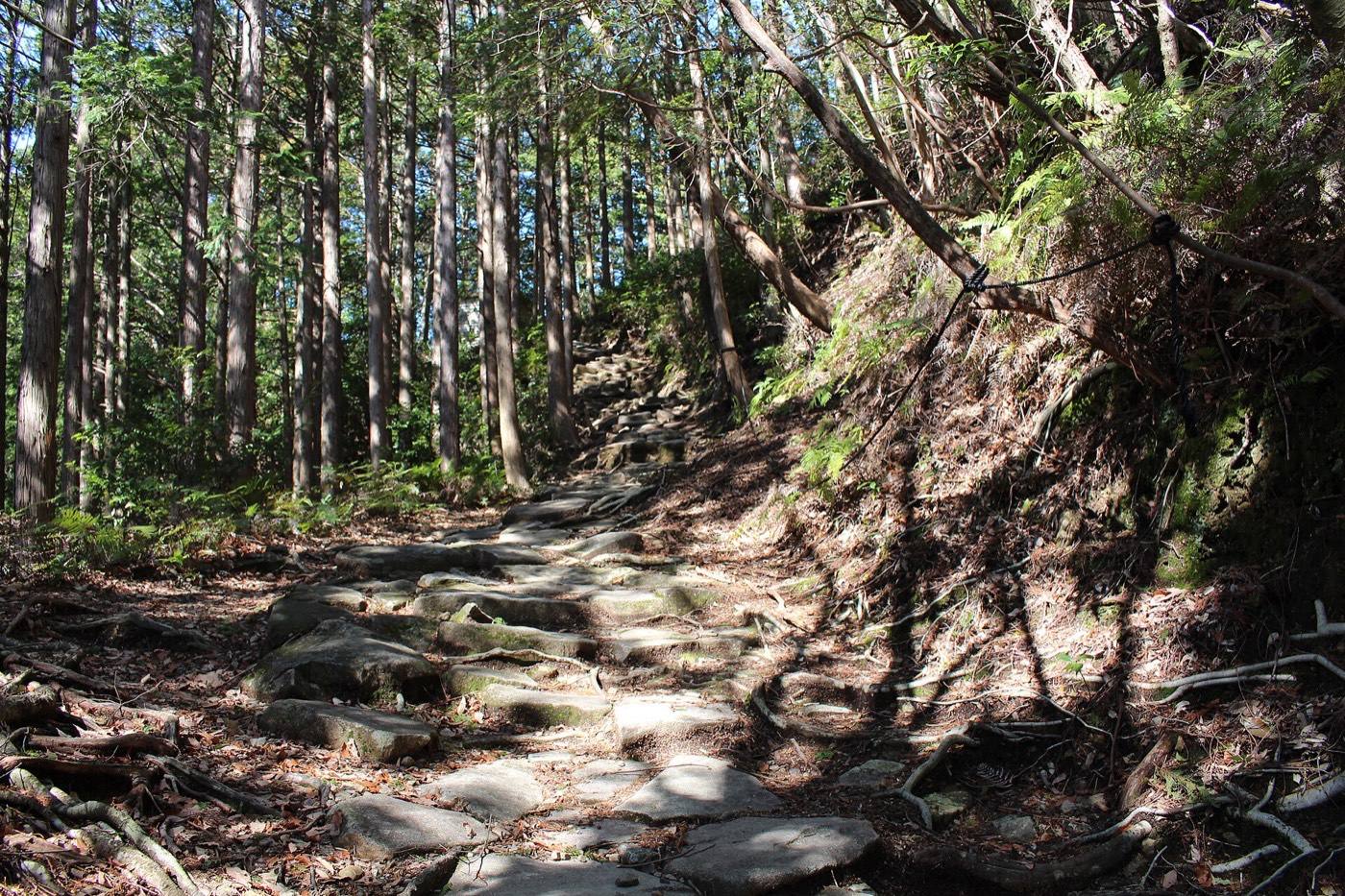 the stone paving of the Kumano Kodo Iseji