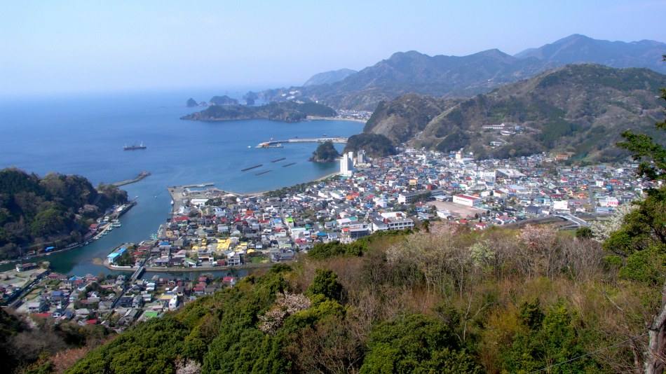 the Izu coast