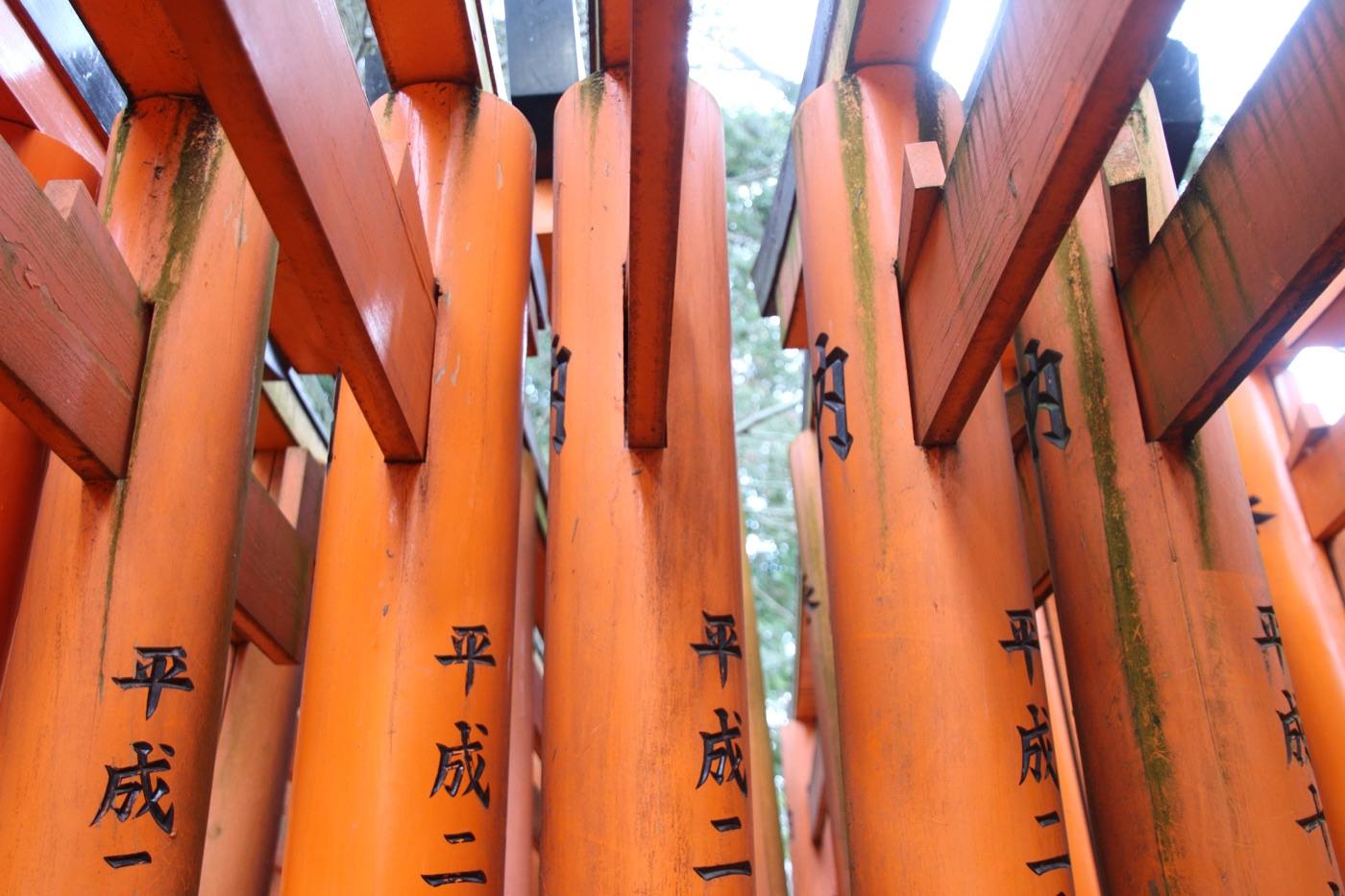 Kyoto seen from the Yotsutsuji lookout on Mount Inari