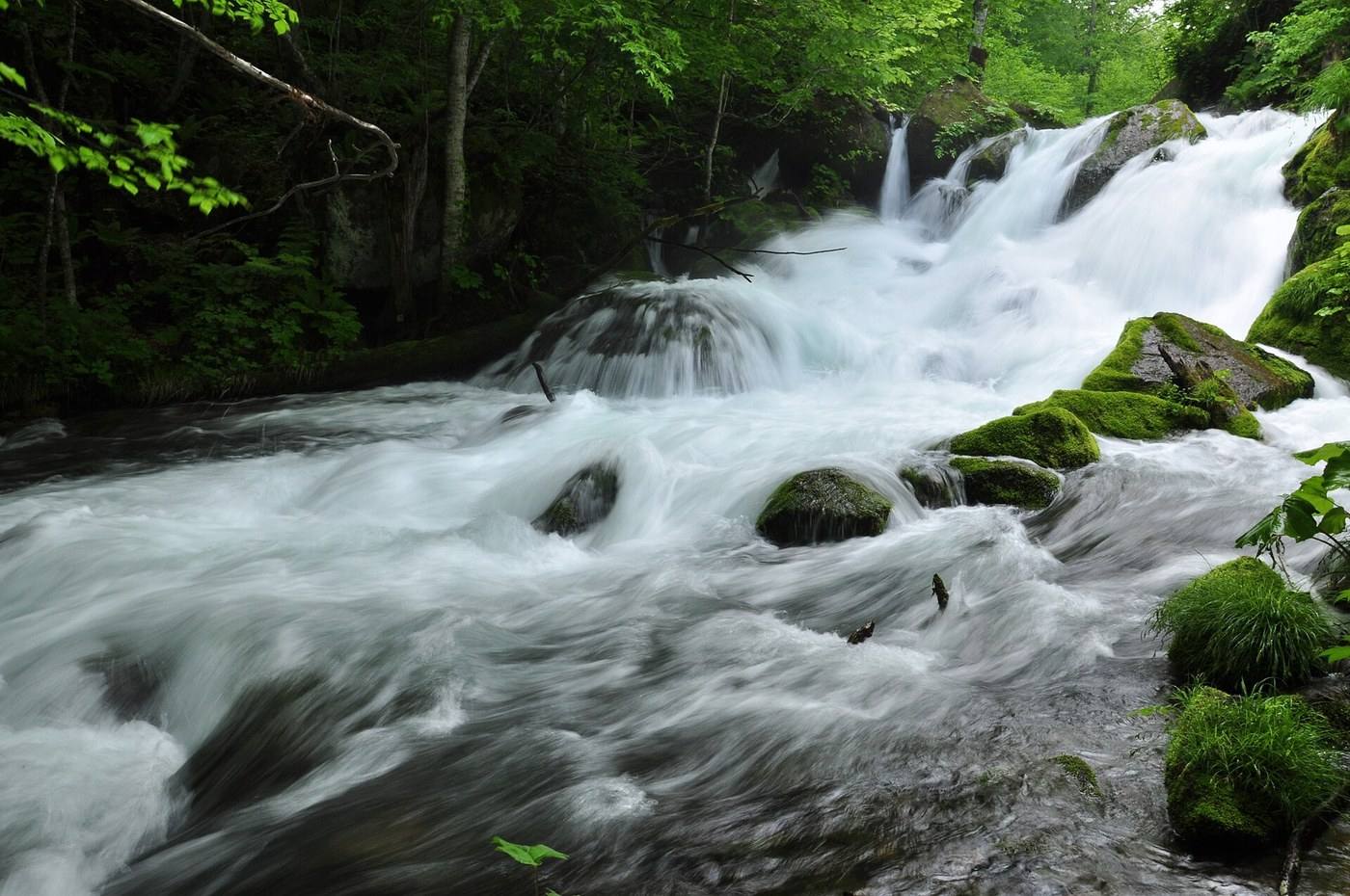 the Oirase mountain stream