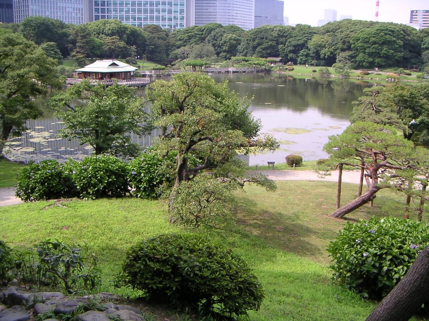 the tidal pond of Hamarikyu Garden below the towers