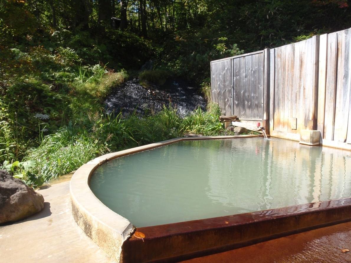 an open-air hot spring bath