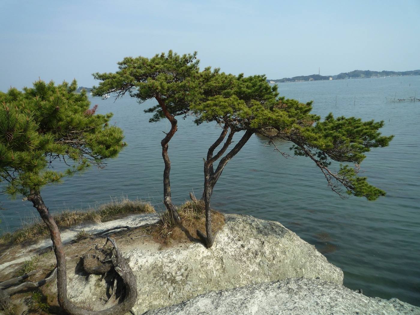 Matsushima