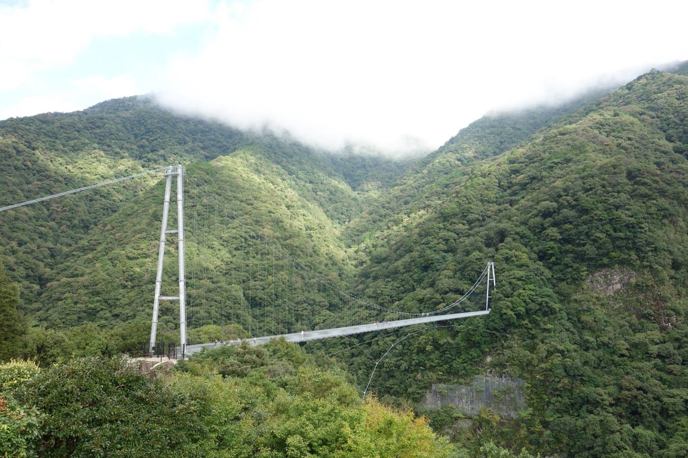the Aya suspension bridge over the forest