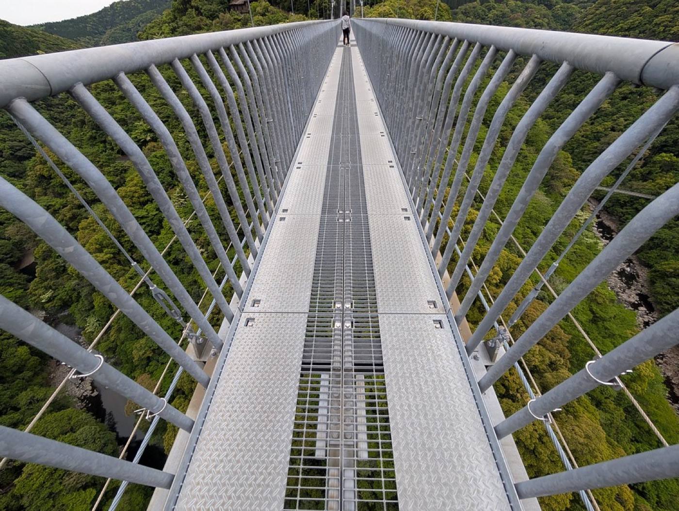 the Aya suspension bridge over the forest