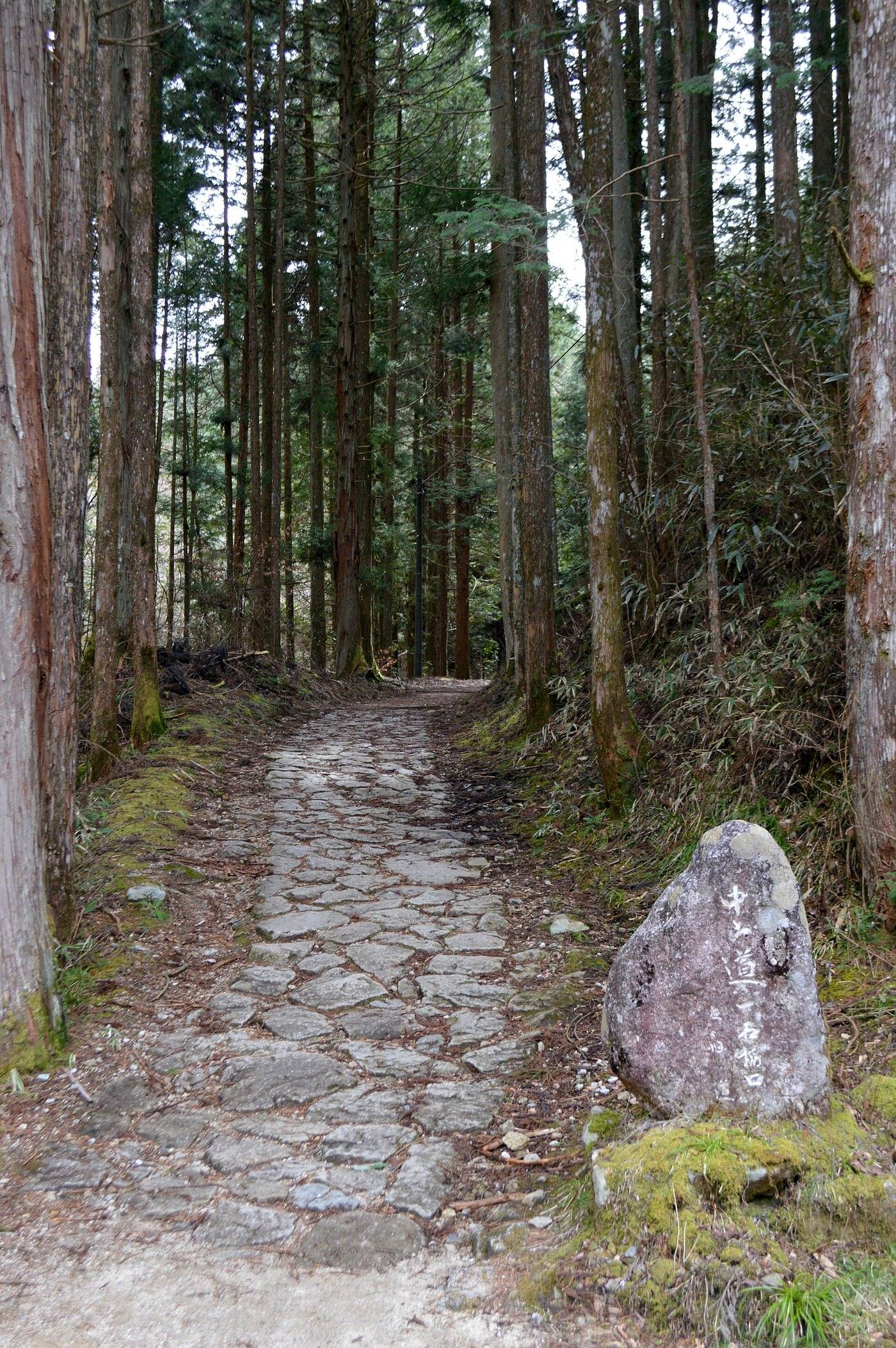the stone-paved Nakasendo road through cedar forest