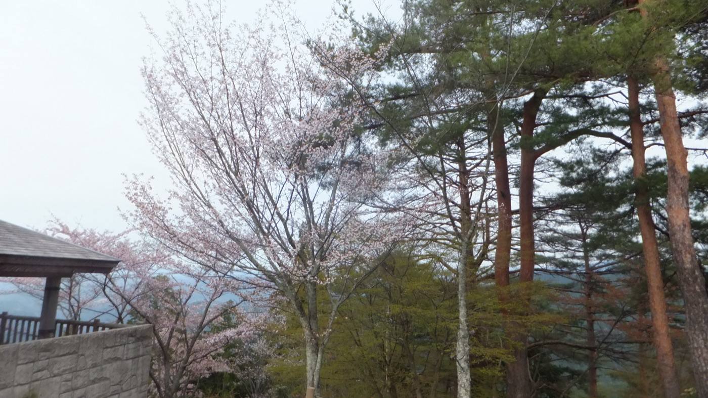Yoshino