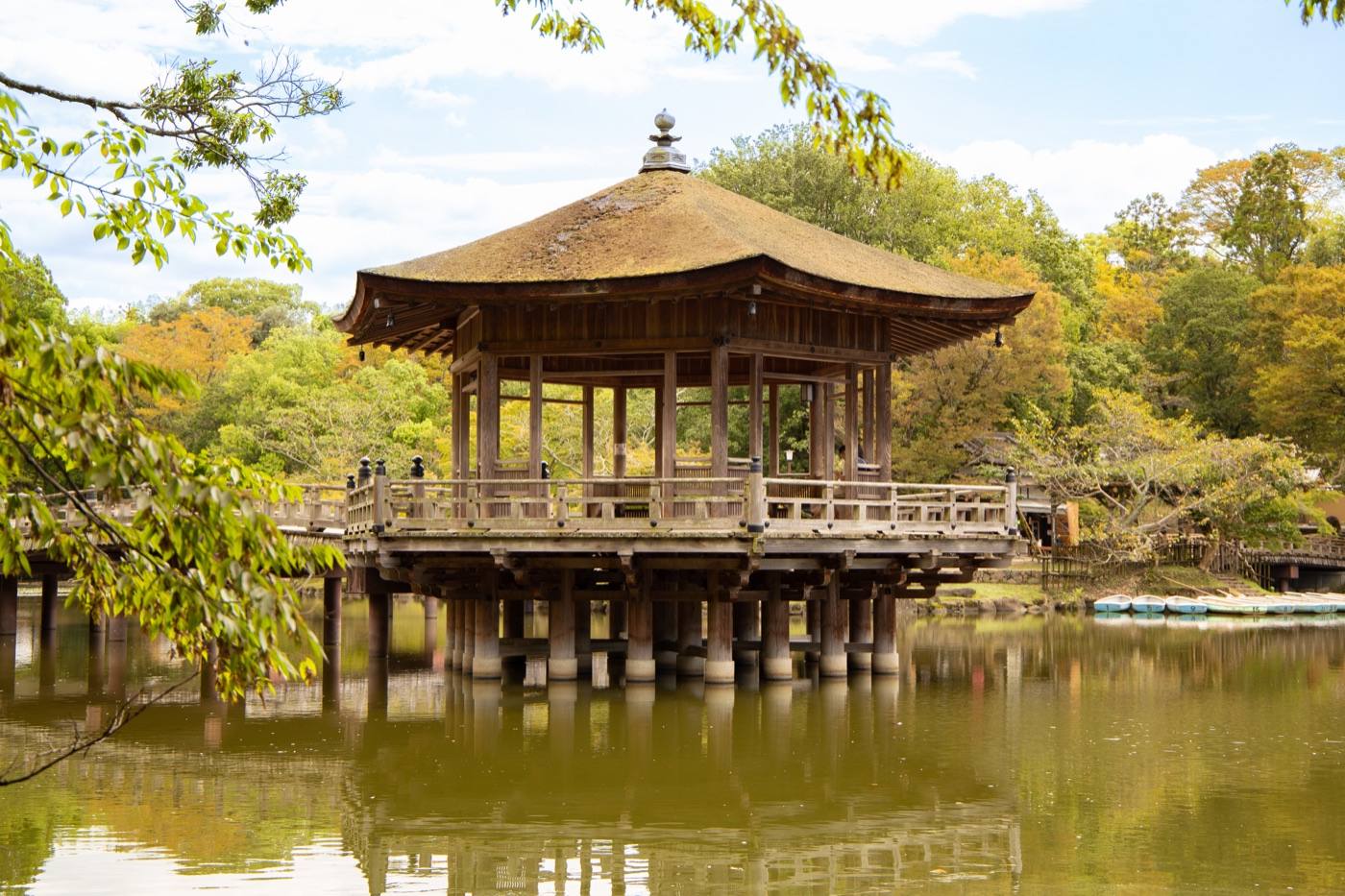 Nara Park