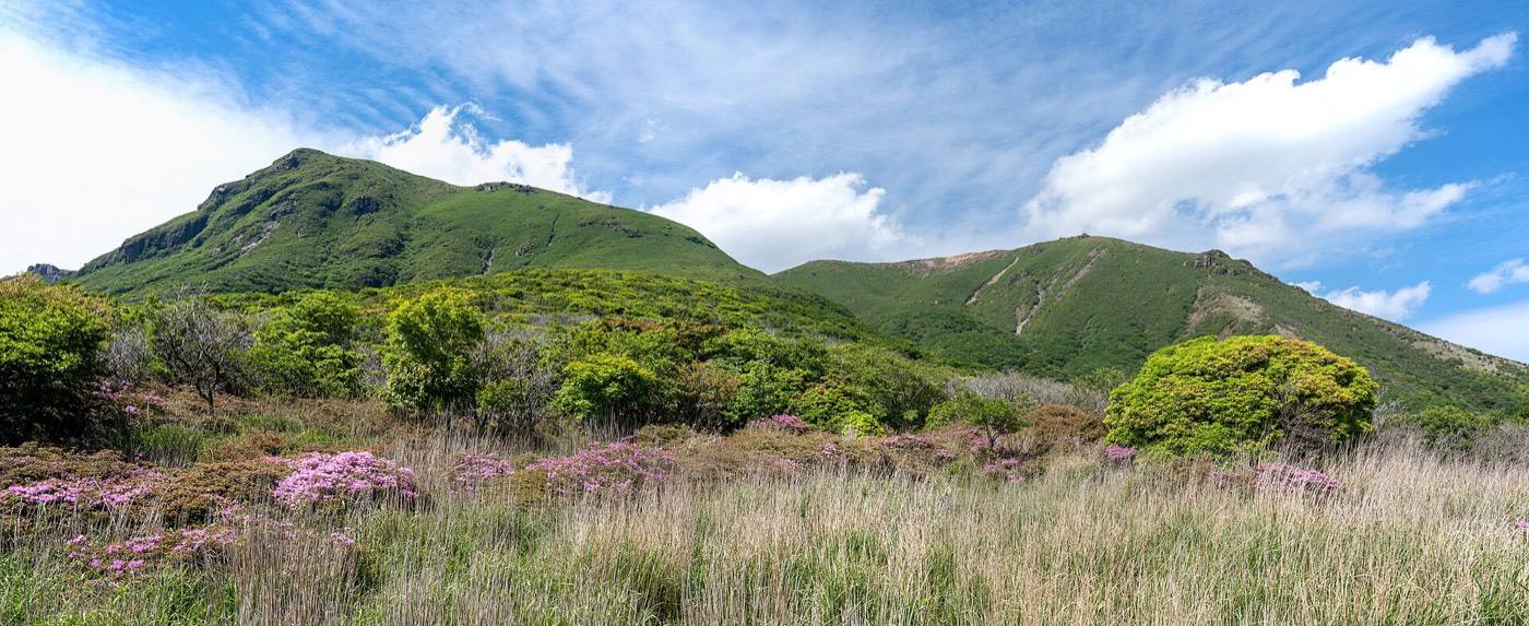 the moor and boardwalk below the Kuju mountains