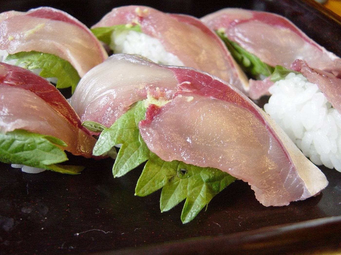 Seki mackerel sashimi