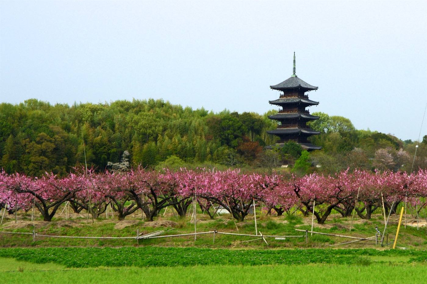 the pagoda and cycle path on the Kibiji route