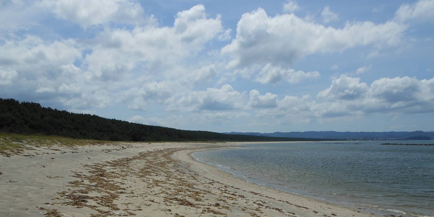the pine grove and sea at Niji no Matsubara