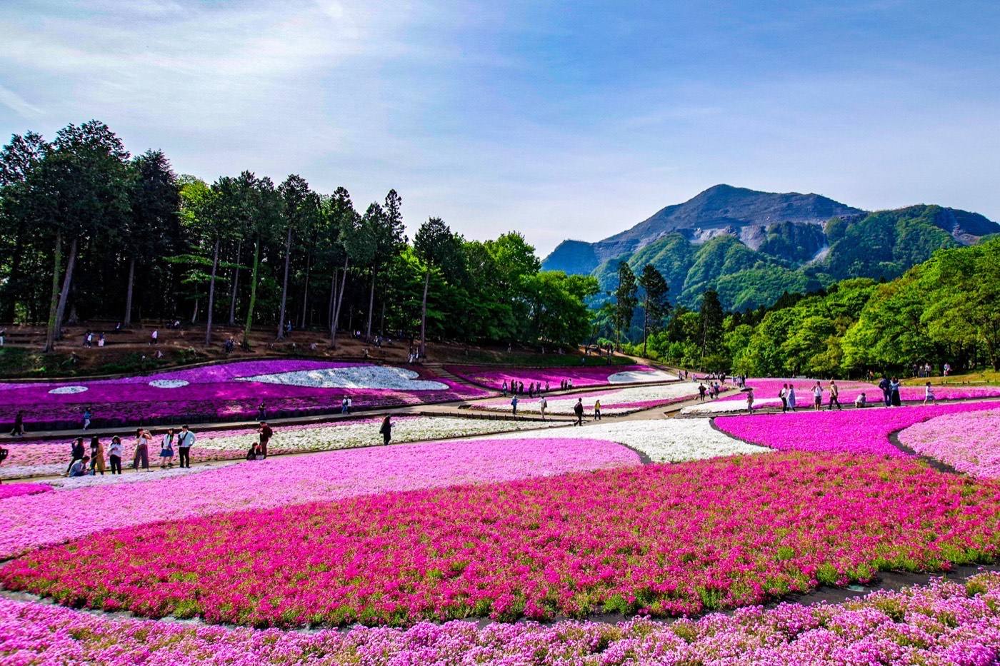 Hitsujiyama Park