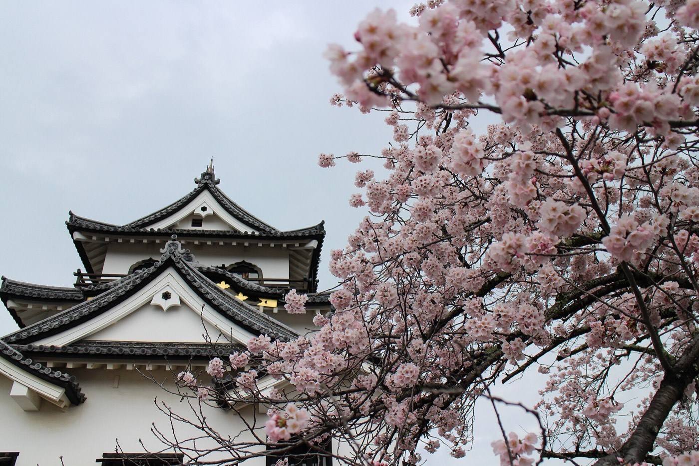Hikone Castle