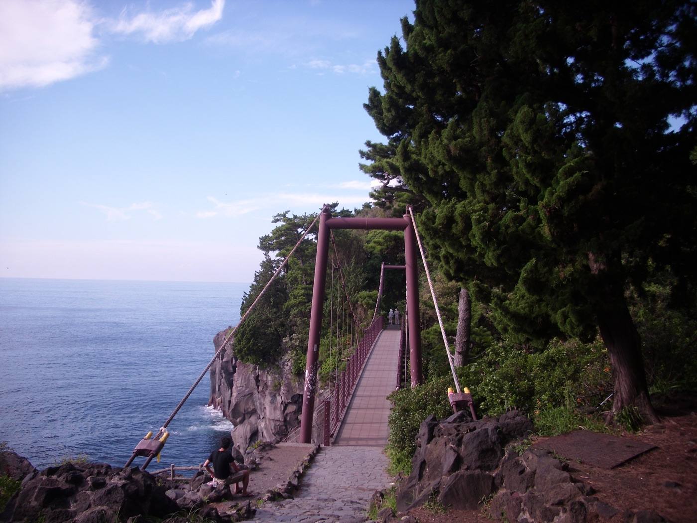 the suspension bridge and cliffs of the Jogasaki coast