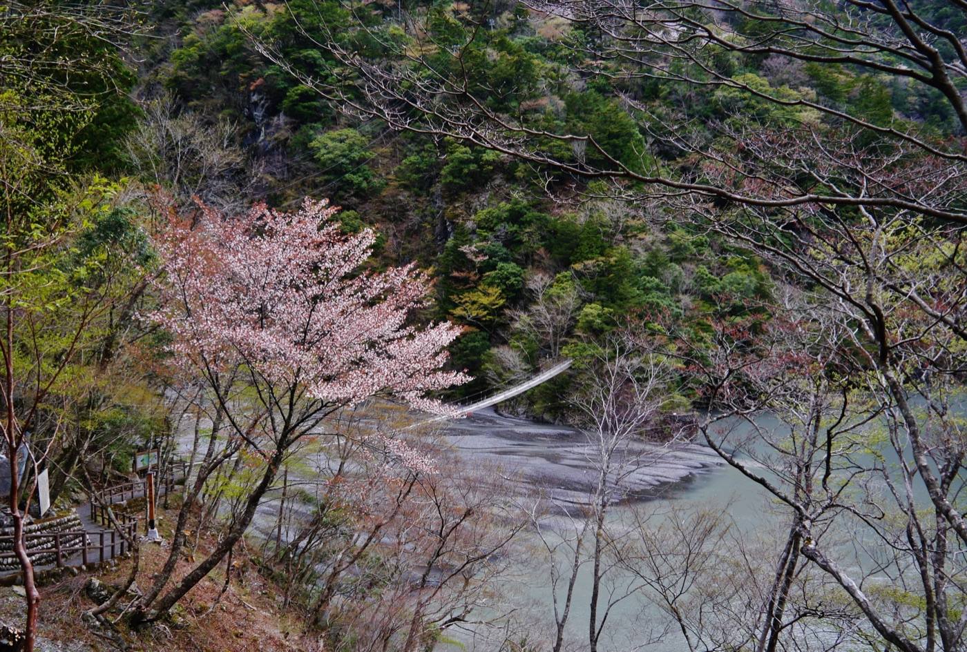 the Yume no Tsuribashi bridge over the gorge