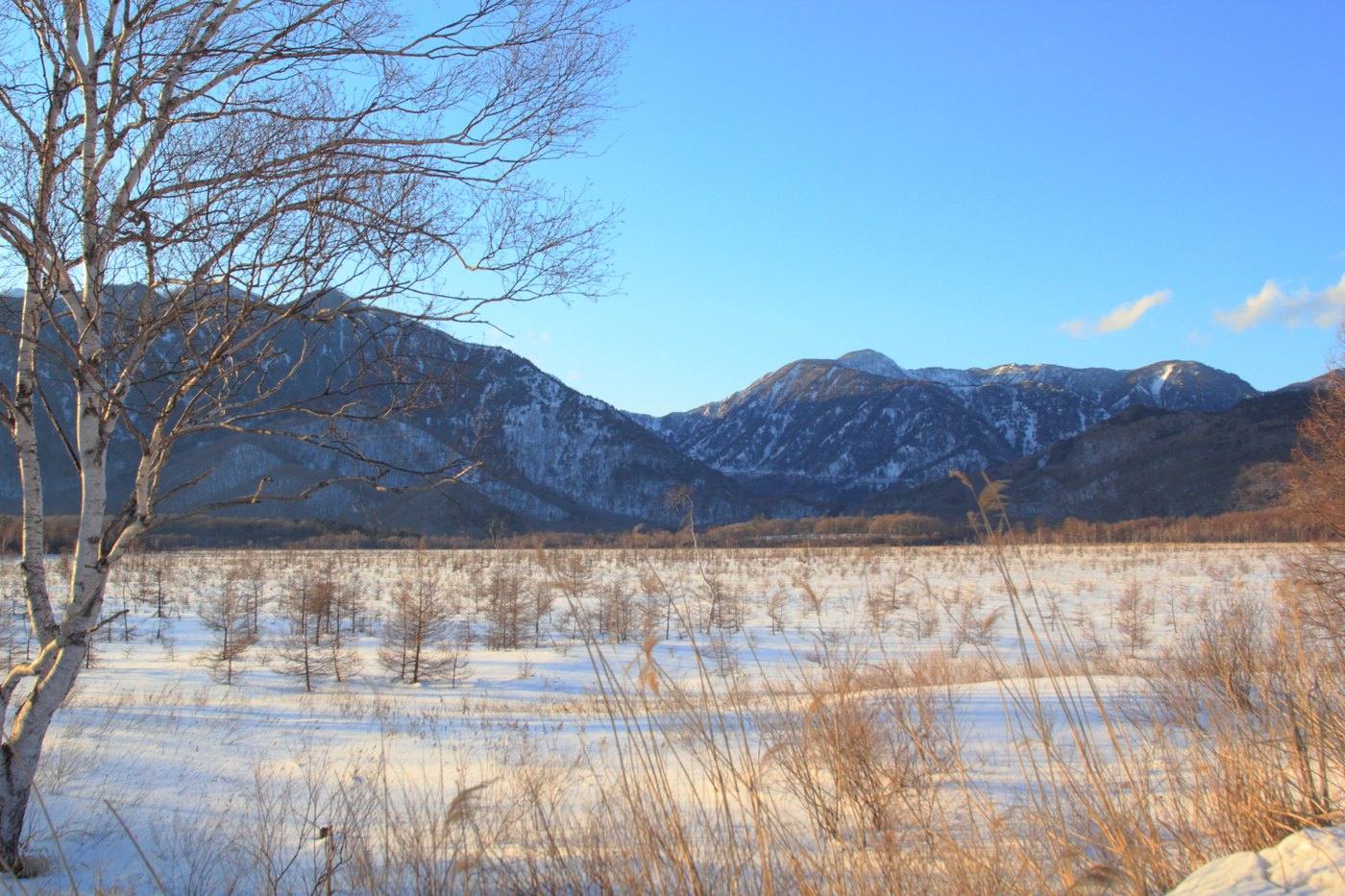 the Senjogahara marsh in Oku-Nikko