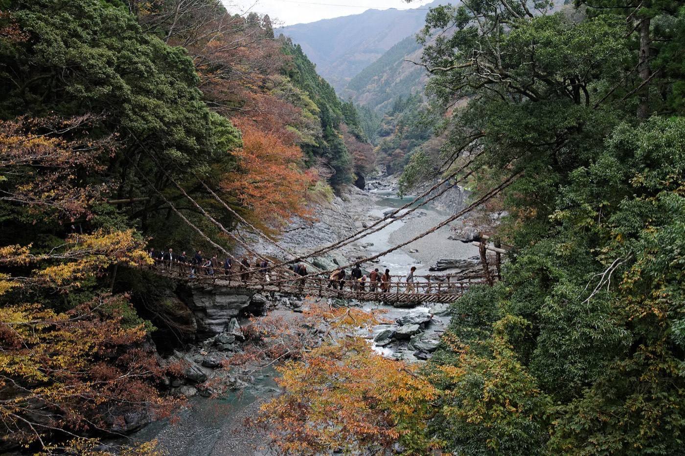 Iya vine bridge