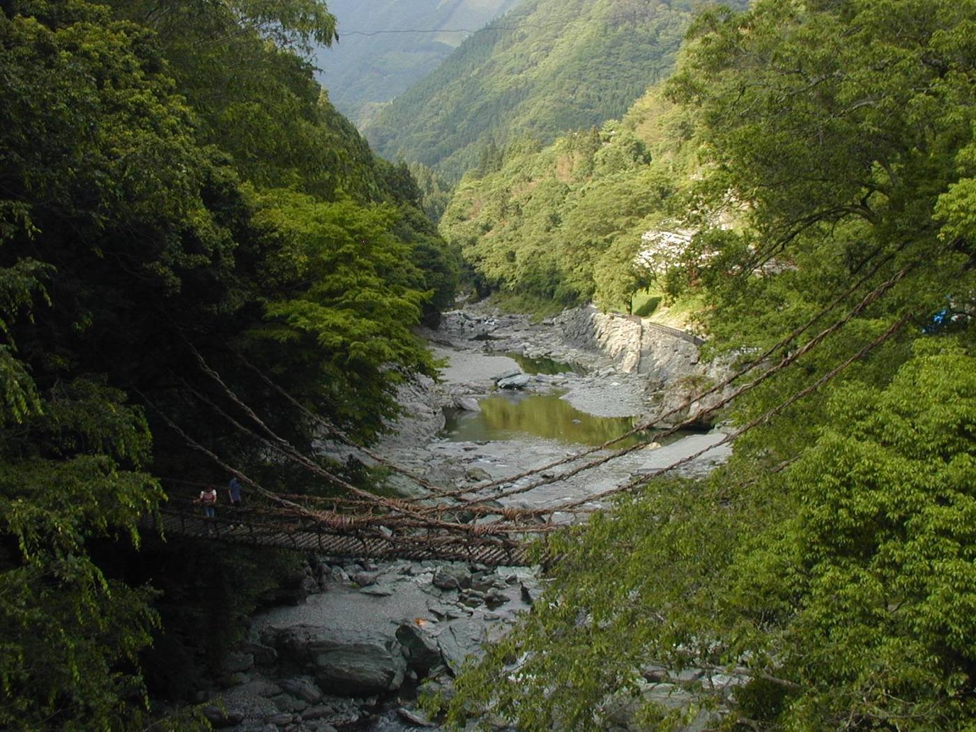 Iya vine bridge