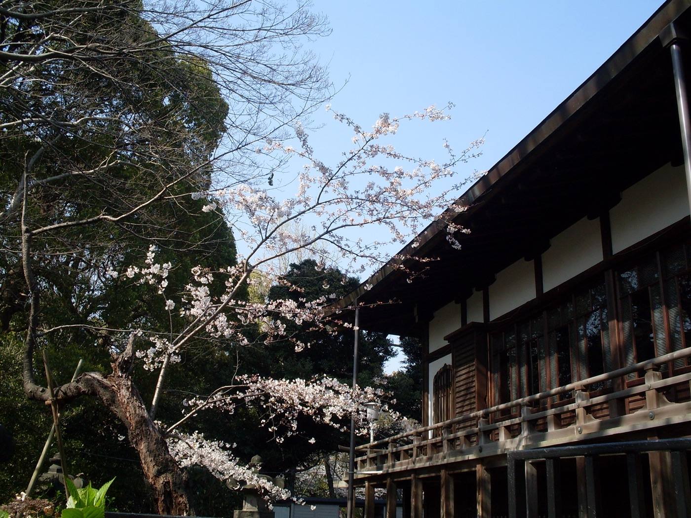 Ueno