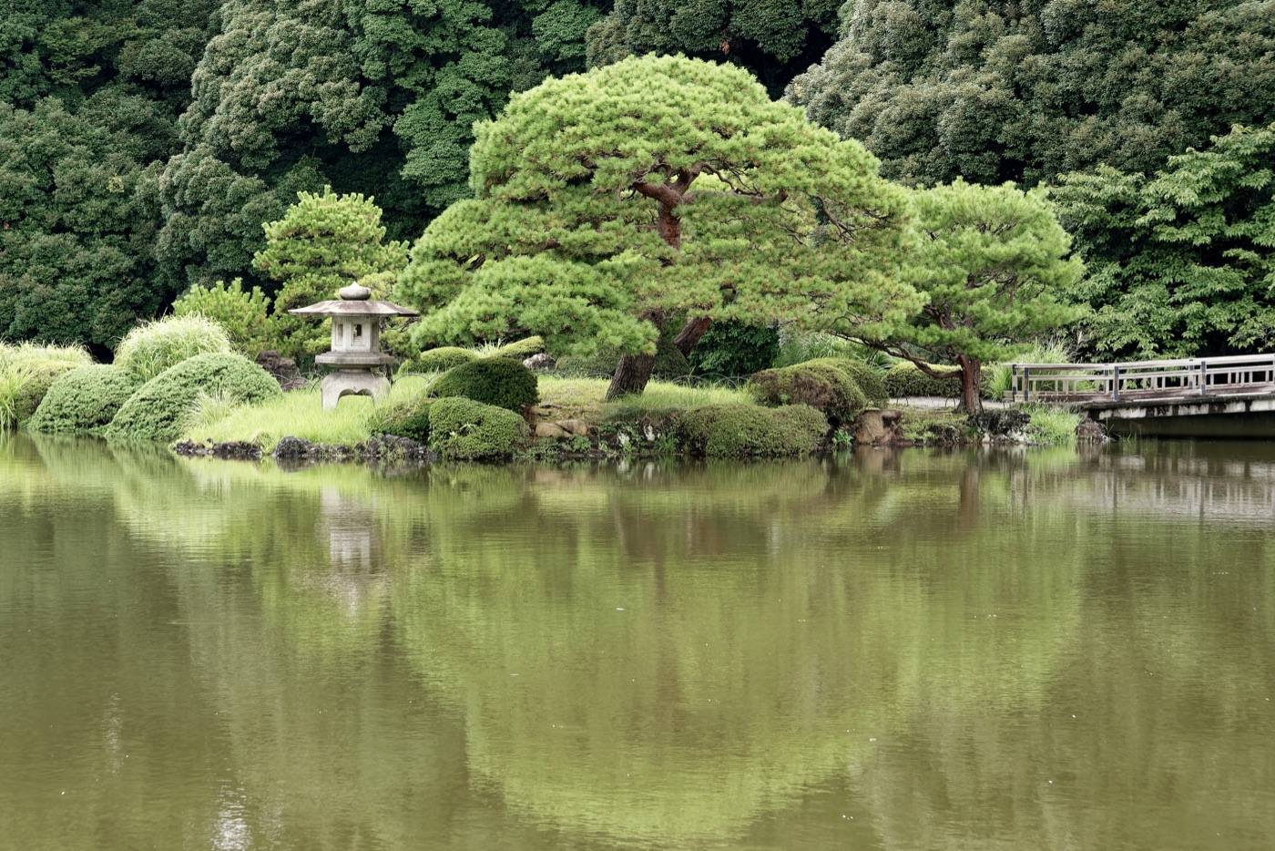 the lawns of Shinjuku Gyoen below the towers