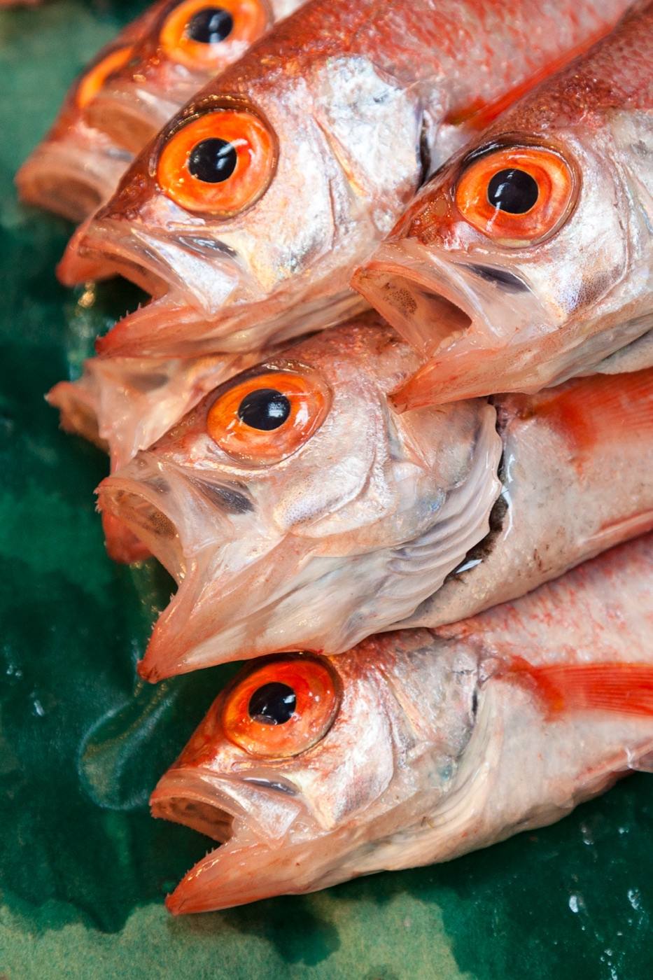 fish for sale at a Tsukiji Outer Market stall