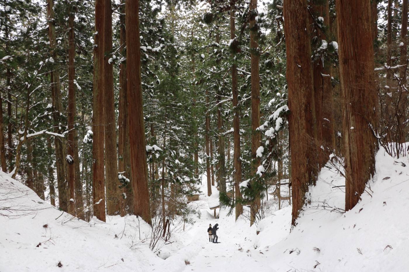 Mt. Haguro