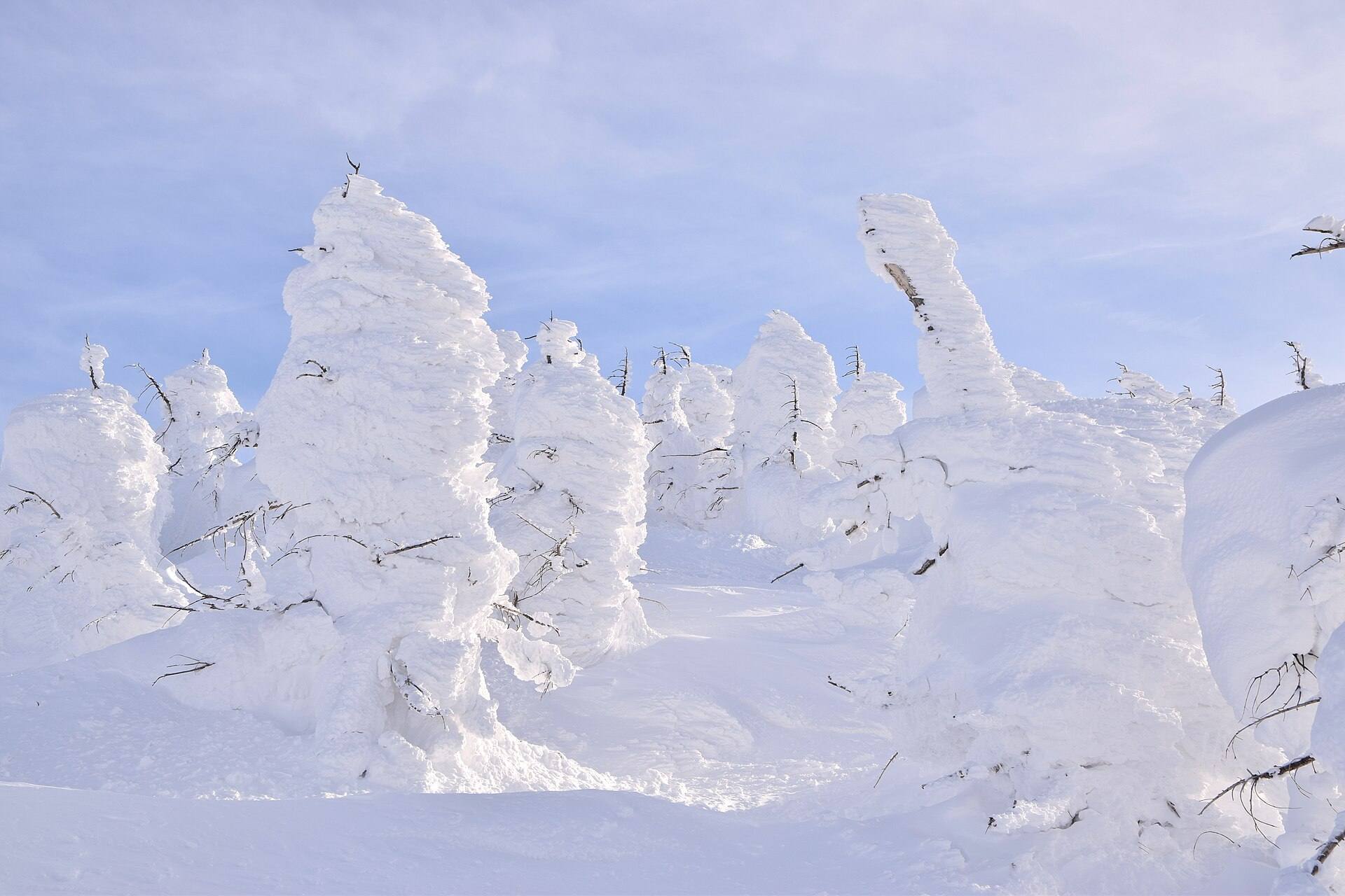 the snow monsters of Zao