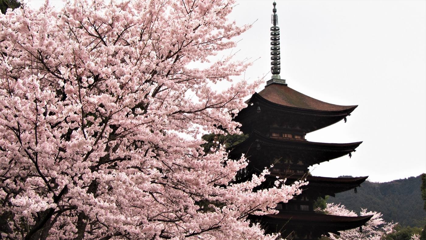 the five-storey pagoda of Rurikoji and its pond